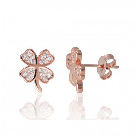 Sudraba auskari-puseti...