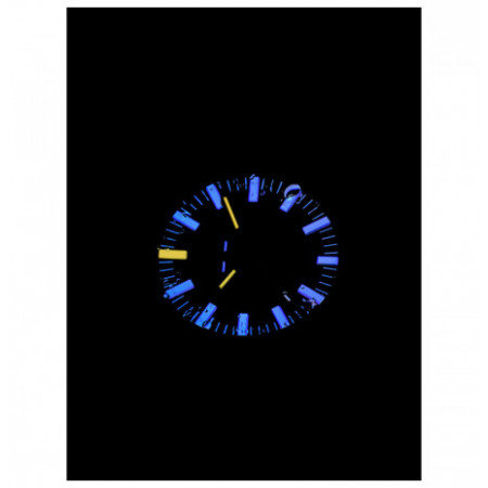 Traser H3 110329 laikrodis