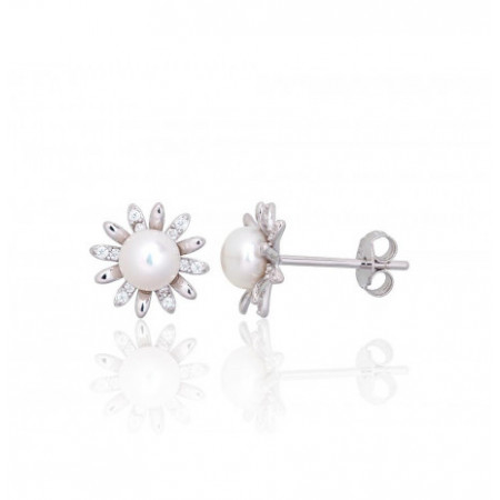 Sudraba auskari-puseti...