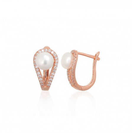 Sudraba auskari ar 'angļu'...