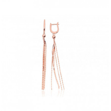 Sudraba auskari ar 'angļu'...