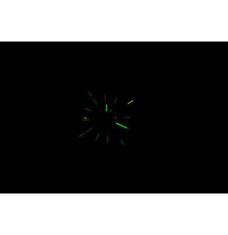 Traser H3 110755 laikrodis