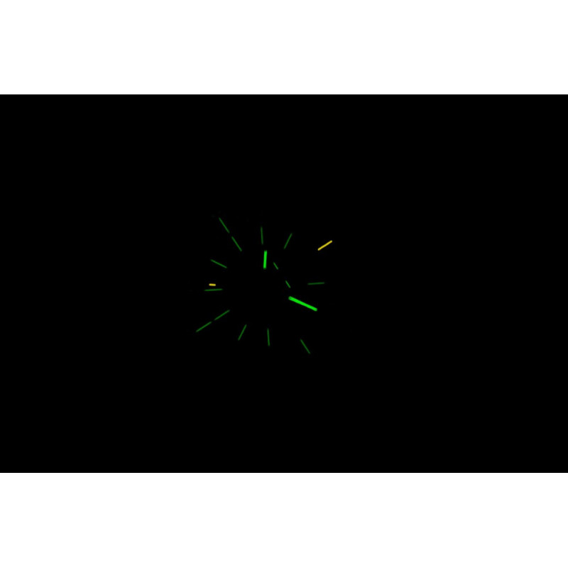 Traser H3 110755 laikrodis