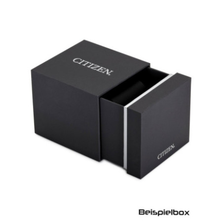 Citizen BI5110-54H laikrodis
