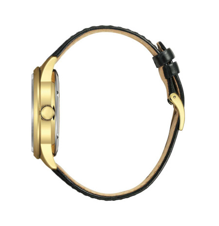 Citizen NY4059-09AE laikrodis Citizen NY4059-09AE laikrodis