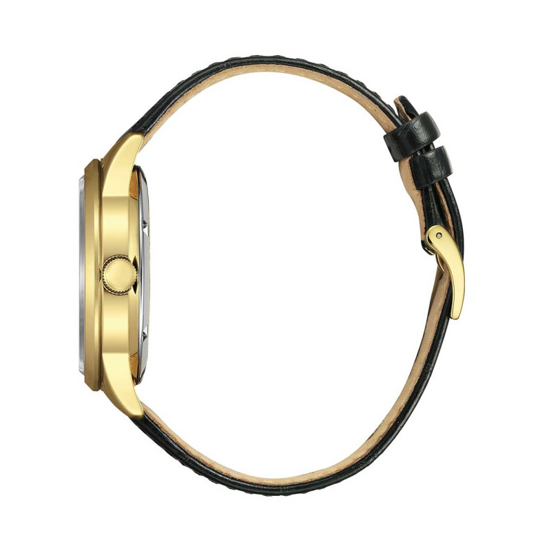 Citizen NY4059-09AE laikrodis Citizen NY4059-09AE laikrodis