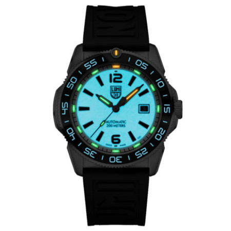 Luminox XS.3101.H laikrodis