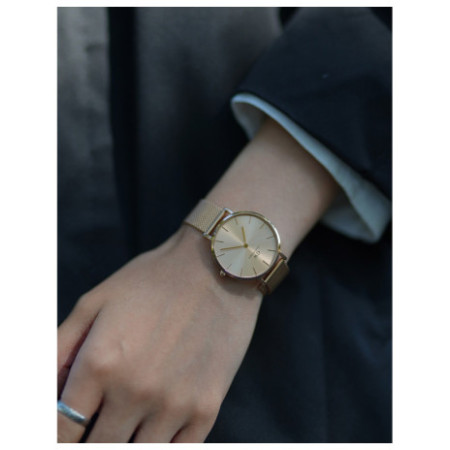 Daniel Wellington DW00100475 laikrodis