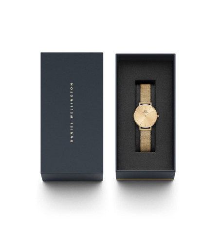 Daniel Wellington DW00100475 laikrodis