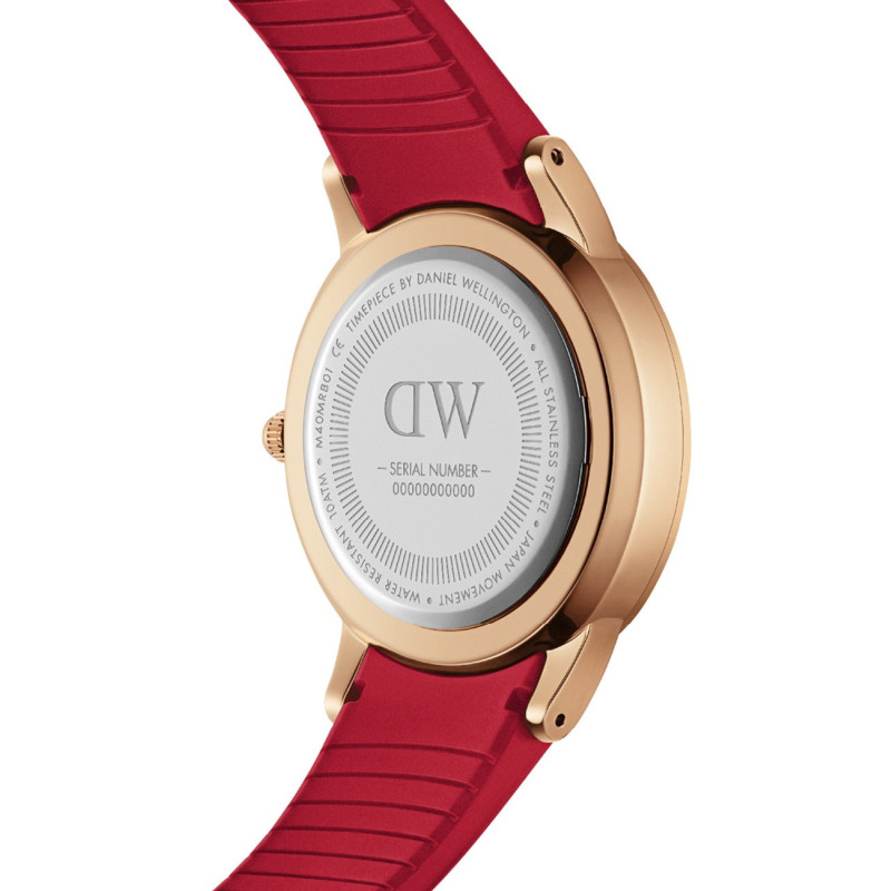 Daniel Wellington DW00100503 laikrodis