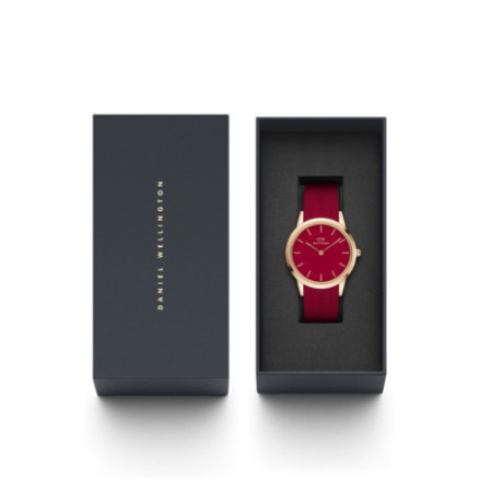 Daniel Wellington DW00100503 laikrodis