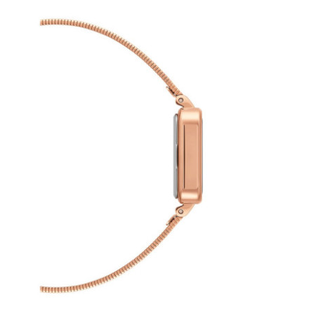 Daniel Wellington DW00100520 laikrodis