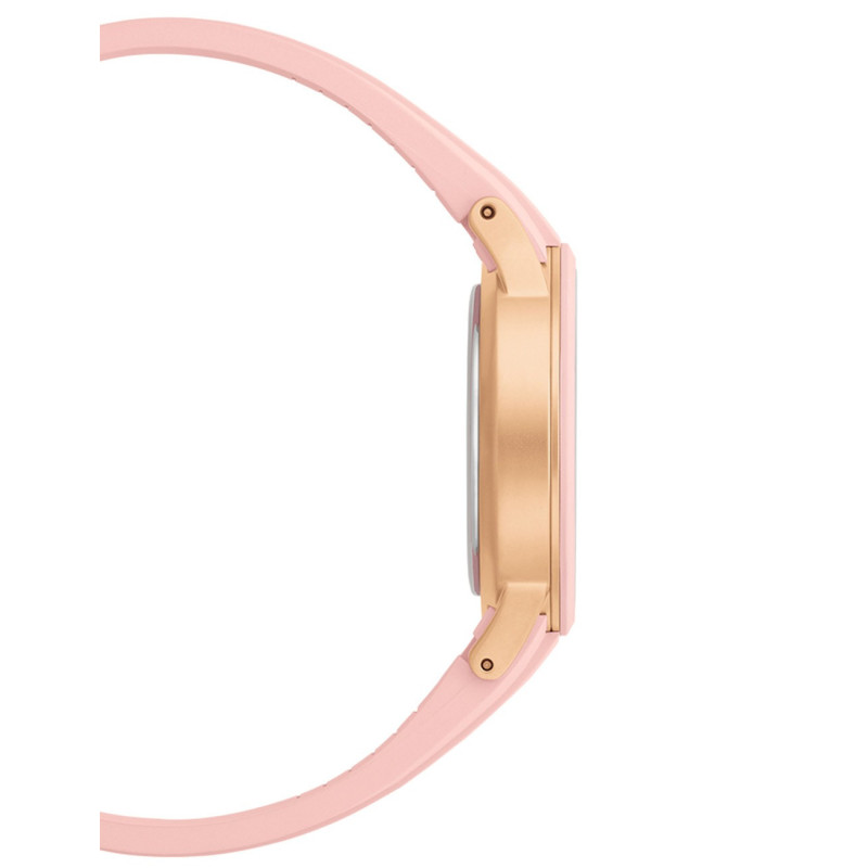 Daniel Wellington DW00100532 laikrodis