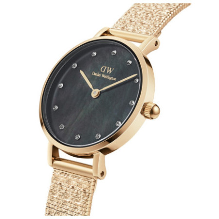 Daniel Wellington DW00100595 laikrodis