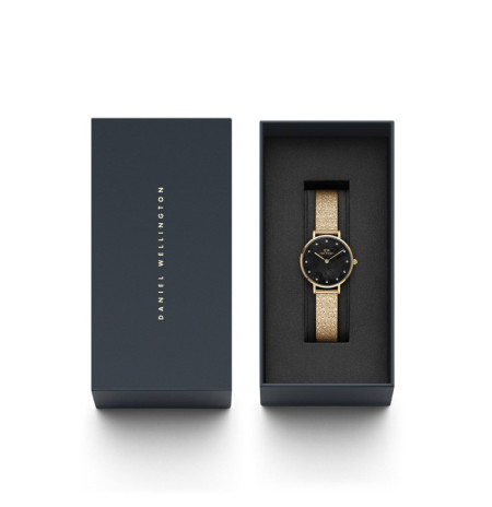 Daniel Wellington DW00100595 laikrodis