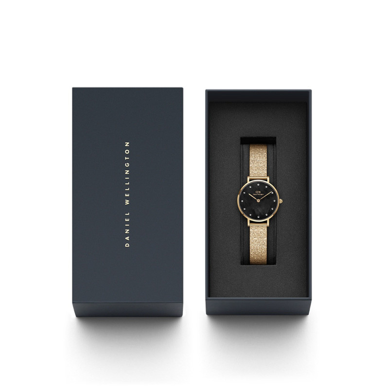 Daniel Wellington DW00100595 laikrodis