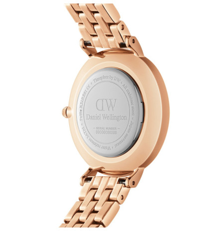 Daniel Wellington DW00100666 laikrodis