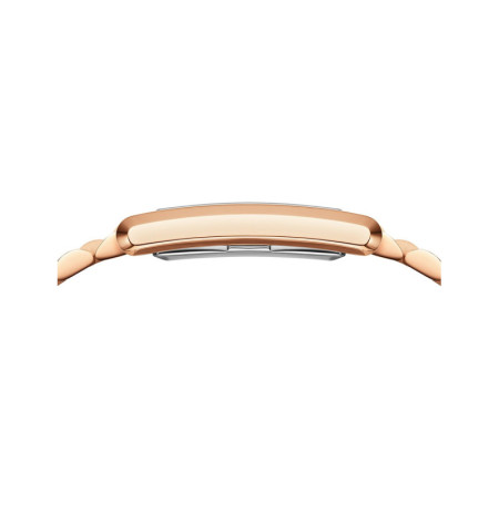 Daniel Wellington DW00100699 laikrodis