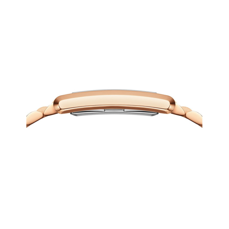 Daniel Wellington DW00100699 laikrodis