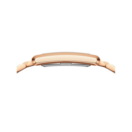 Daniel Wellington DW00100699 laikrodis