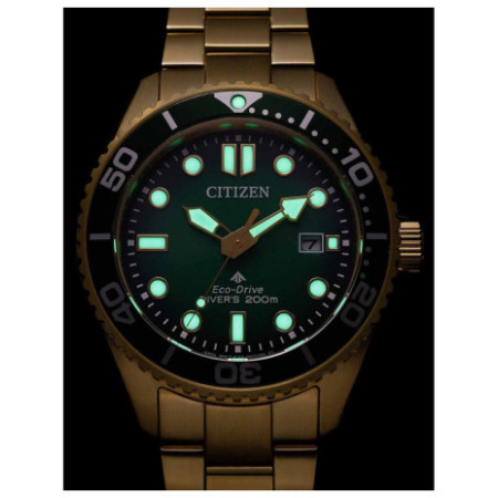 Citizen BN0262-59W laikrodis