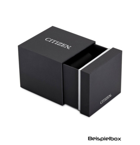 Citizen BN0269-50W laikrodis