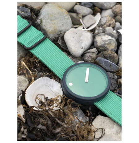 PICTO R44029-R025 laikrodis