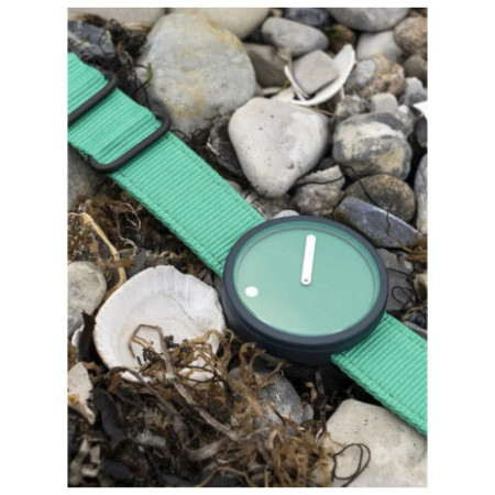 PICTO R44029-R025 laikrodis