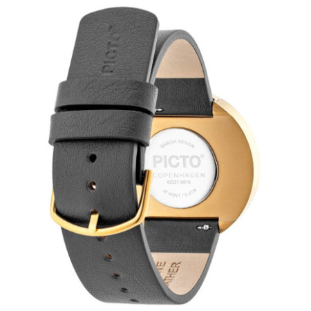 PICTO 43321-6220G laikrodis