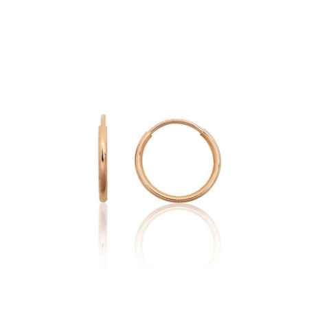 Zelta auskari-riņķīši...