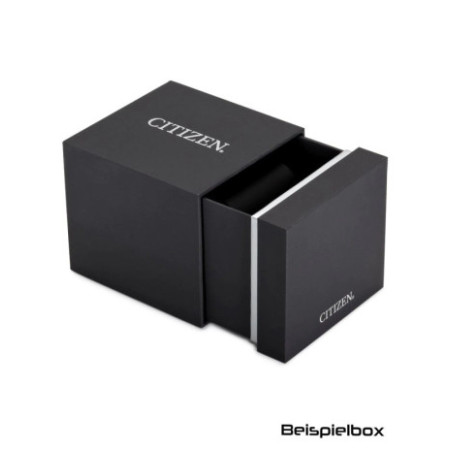 Citizen NJ0200-50M laikrodis