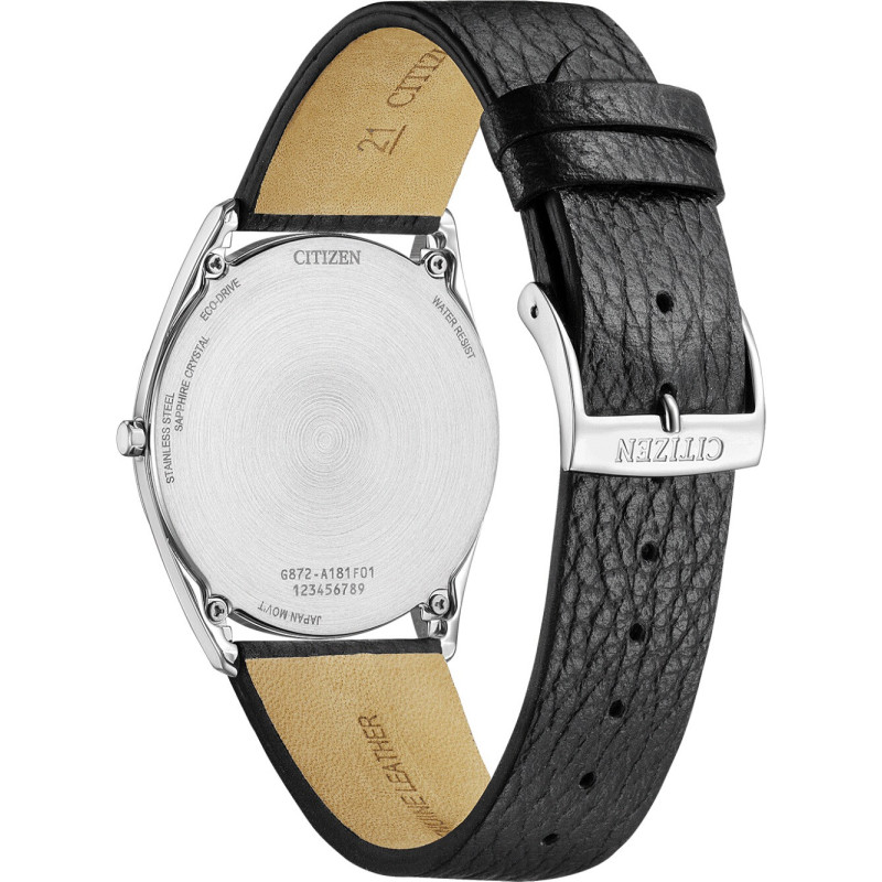 Citizen AR3120-16A laikrodis