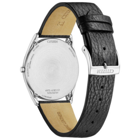 Citizen AR3120-16A laikrodis