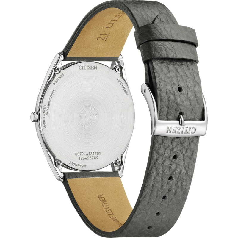 Citizen AR3120-24L laikrodis