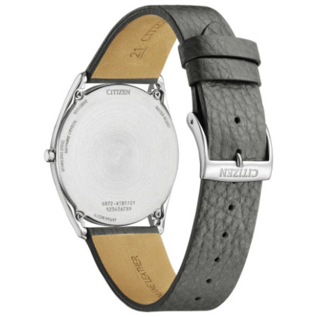 Citizen AR3120-24L laikrodis
