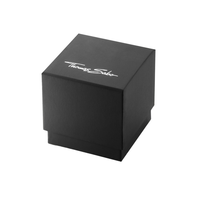 Thomas Sabo WA0426-201-201 laikrodis