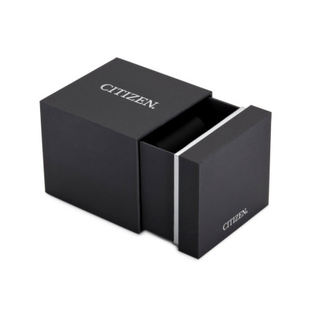 Citizen CA4010-58L laikrodis