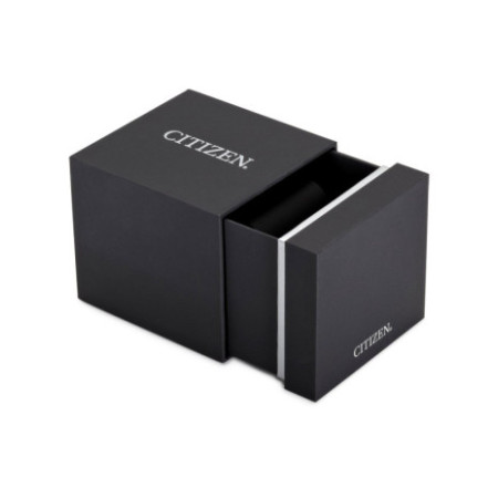 Citizen CA4010-58L laikrodis