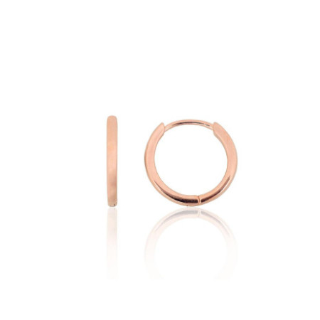 Sudraba auskari ar apaļu...