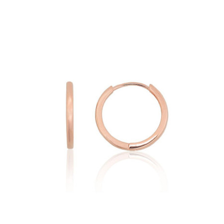 Sudraba auskari ar apaļu...