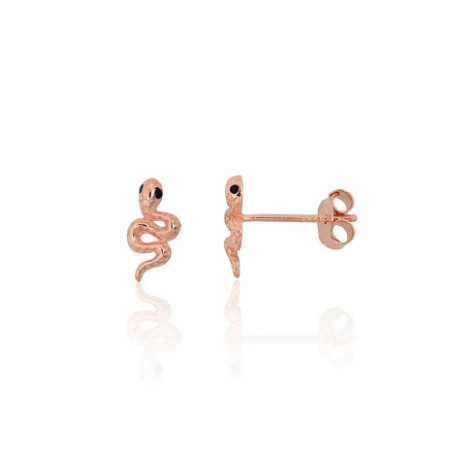 Sudraba auskari-puseti...