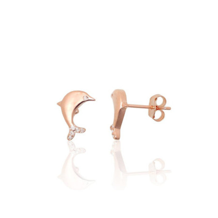 Sudraba auskari-puseti...