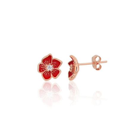 Sudraba auskari-puseti...