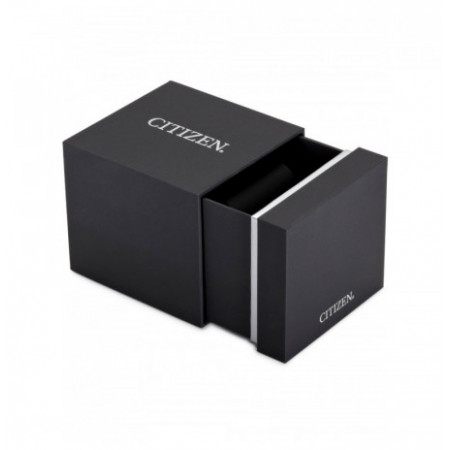 Citizen FC0014-54A laikrodis