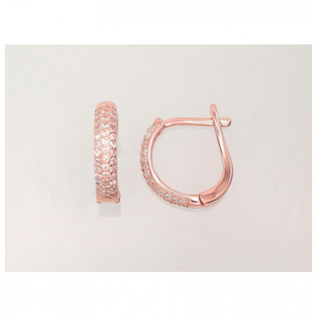 Sudraba auskari ar 'angļu'...