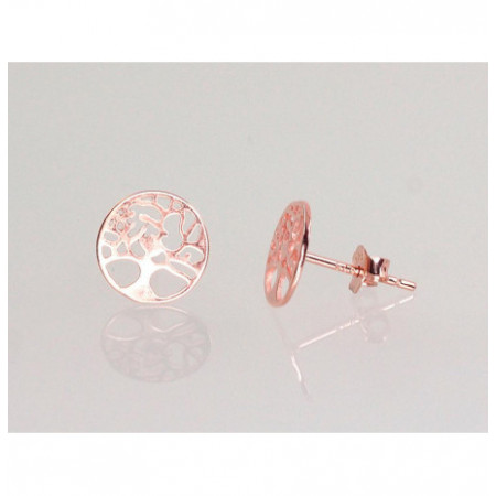 Sudraba auskari-puseti...